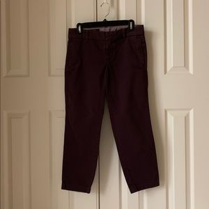 J Crew Scout Chino
